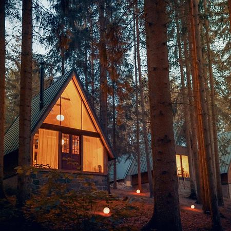 Hotel Kouty - Lesni Apartmany Ledec nad Sazavou Luaran gambar